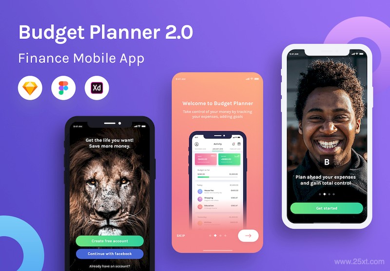 Budget Planner Mobile UI Kit 2.0-1.jpg