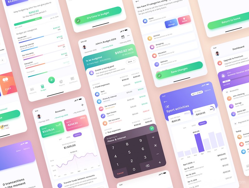 Budget Planner Mobile UI Kit 2.0-6.jpg