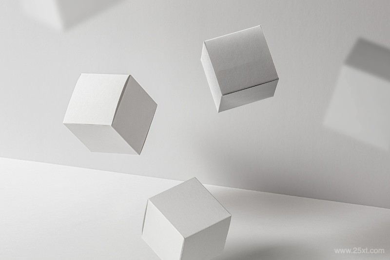Gravity Psd Boxes Packaging Mockup-2.jpg