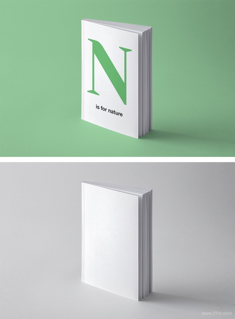 Book Perspective Mockup-2.jpg