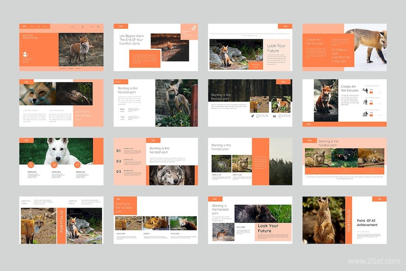 FOX PowerPoint Presentation-2.jpg