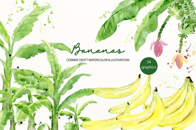 Watercolor Banana Illustration-6.jpg