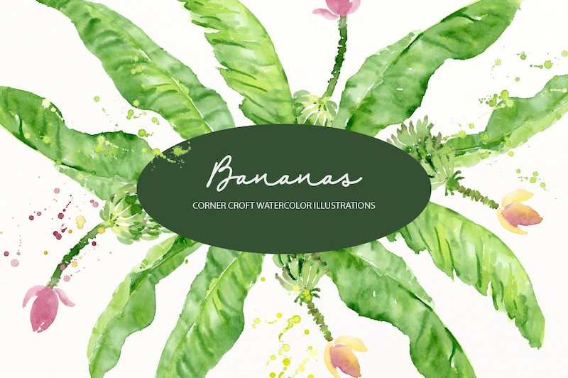 Watercolor Banana Illustration-4.jpg