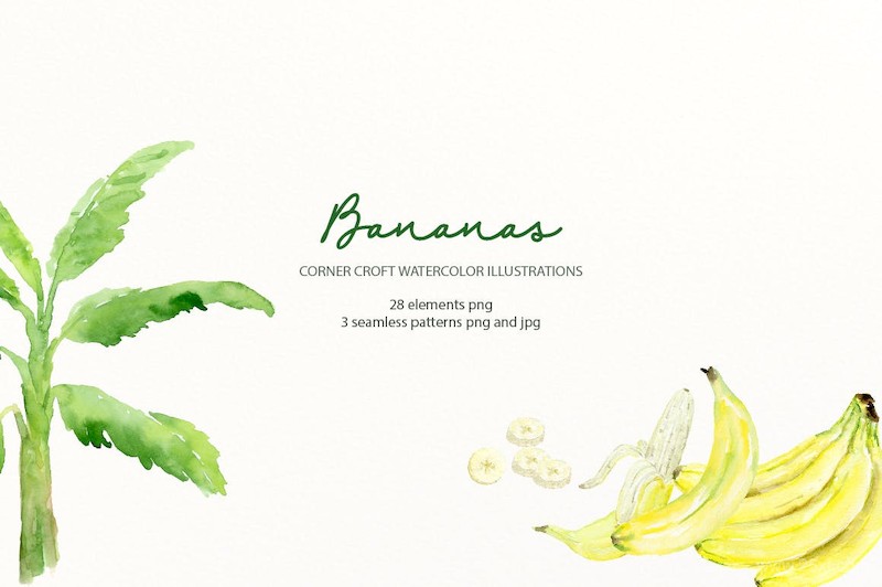 Watercolor Banana Illustration-2.jpg
