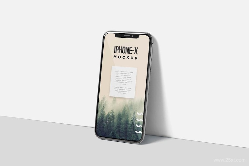 iPhone X Mockup-1.jpg