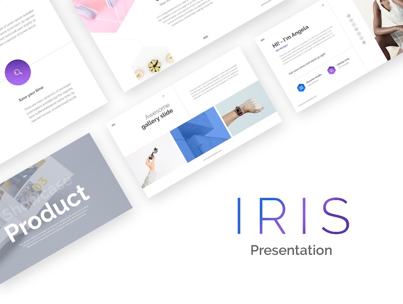 IRIS Presentation-5.jpg