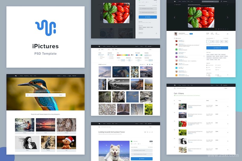 iPictures Stock Image Website PSD Template.jpg