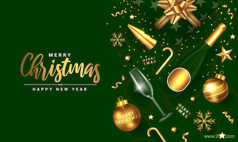Merry Christmas and Happy New Year banner-3.jpg