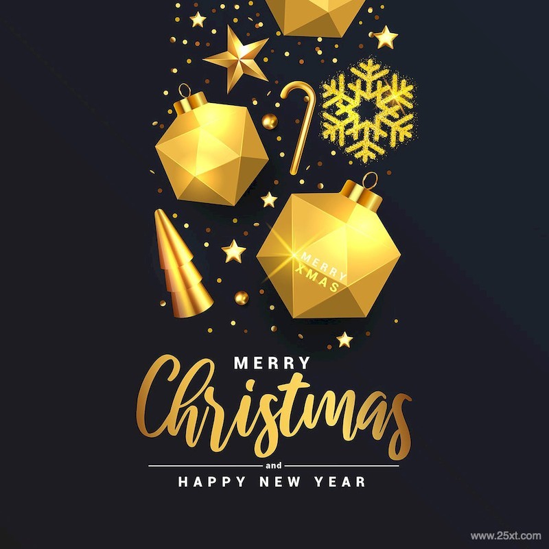 Merry Christmas and Happy New Year banner-1.jpg