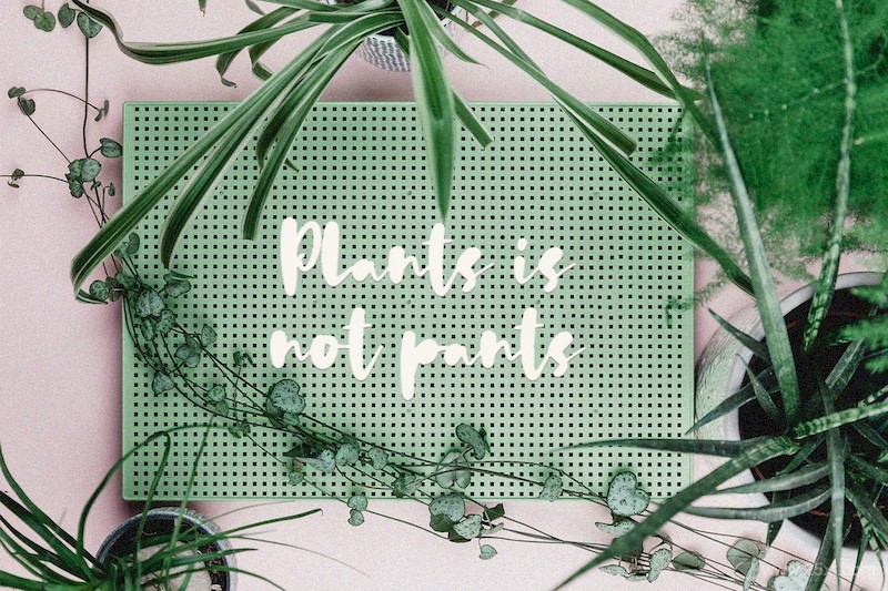 Daun Katuk - The Fresh Cute Font-12.jpg