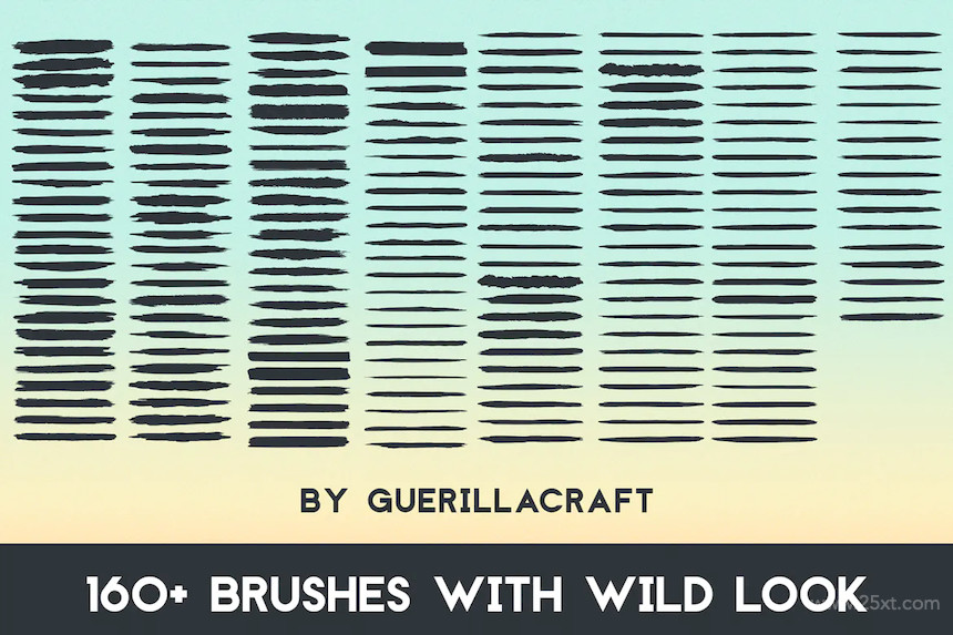 160 Wild Strokes for Adobe Illustrator 4.jpg