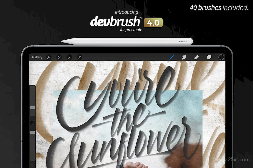 DevBrush™ 4.0 for Procreate 1.jpg