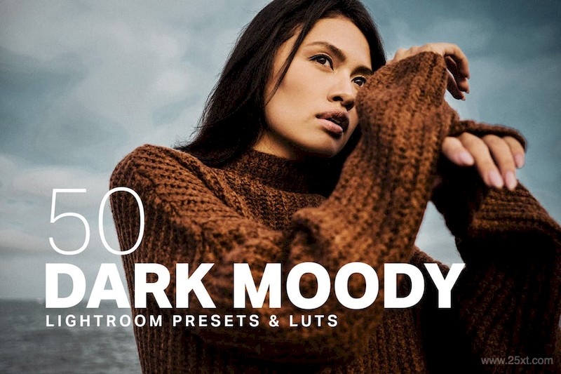 50 Dark Moody Lightroom Presets LUTs-2.jpg