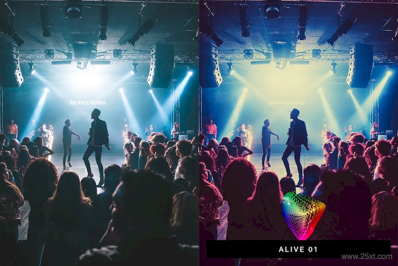 50 Concert Lightroom Presets LUTs-5.jpg