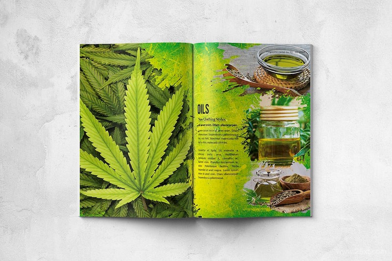 Cannabis Magazine - A4 & US Letter - 28 pgs-4.jpg