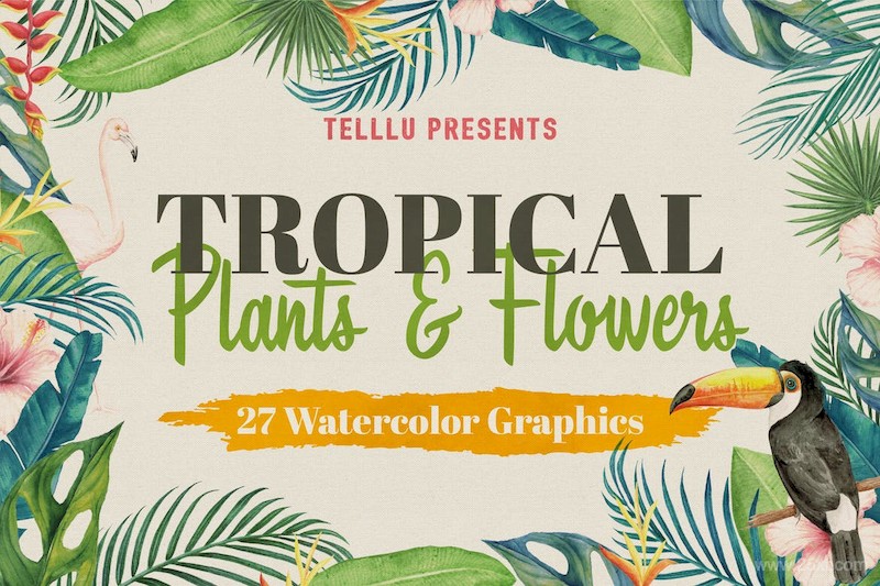 Watercolor Tropical Collection  Plants & Flowers-1.jpg