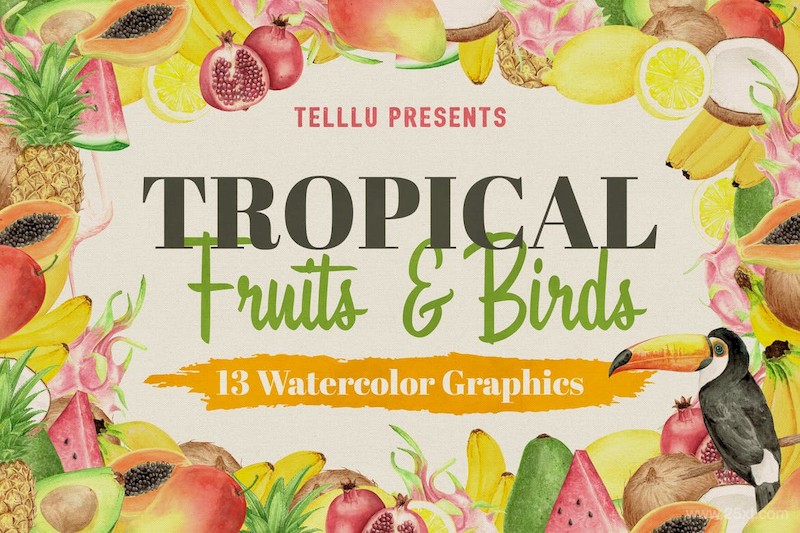 Watercolor Tropical Collection  Fruits & Birds-2.jpg