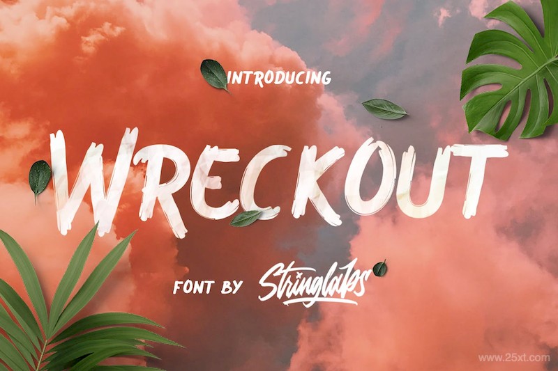 Wreckout - Decorative Brush Font-4.jpg