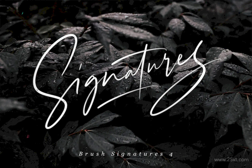  Procreate Brush Calligraphy 5.jpg