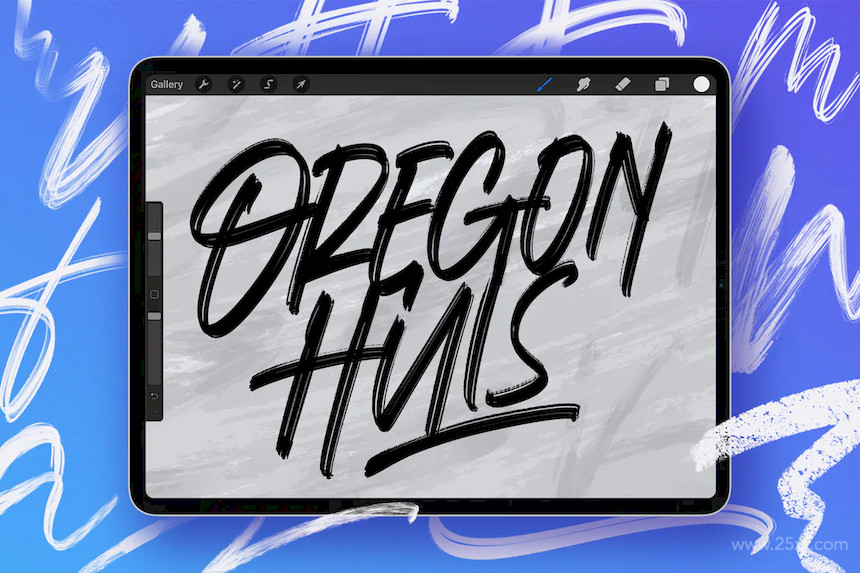Procreate Textures Brush 4.jpg