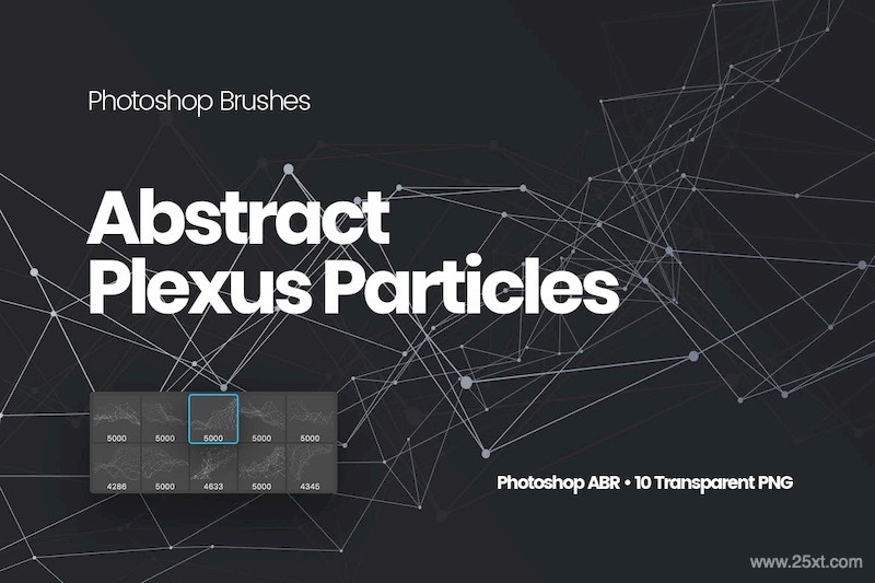 Abstract Plexus Particles Photoshop Brushes-9.jpg