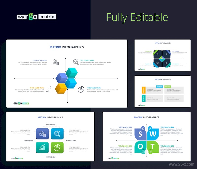 Eargo Matrix Infographics PowerPoint Template-3.jpg