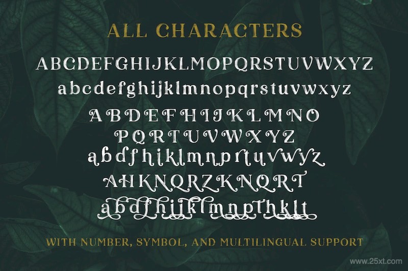 Karelle SVG - An Organic Serif-4.jpg