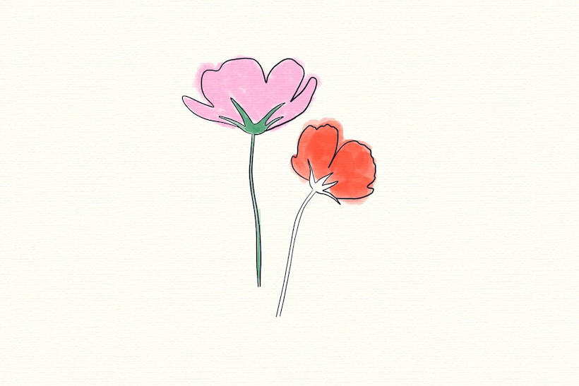 Procreate Watercolor Brushes 5.jpg