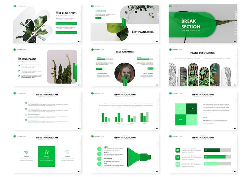 Plant - Powerpoint Template-4.jpg