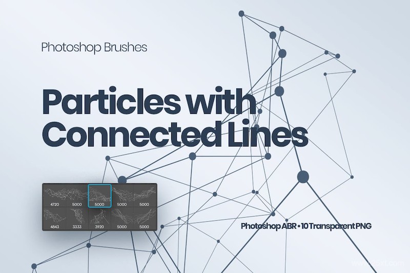 Particles with Connected Lines Photoshop Brushes-2.jpg