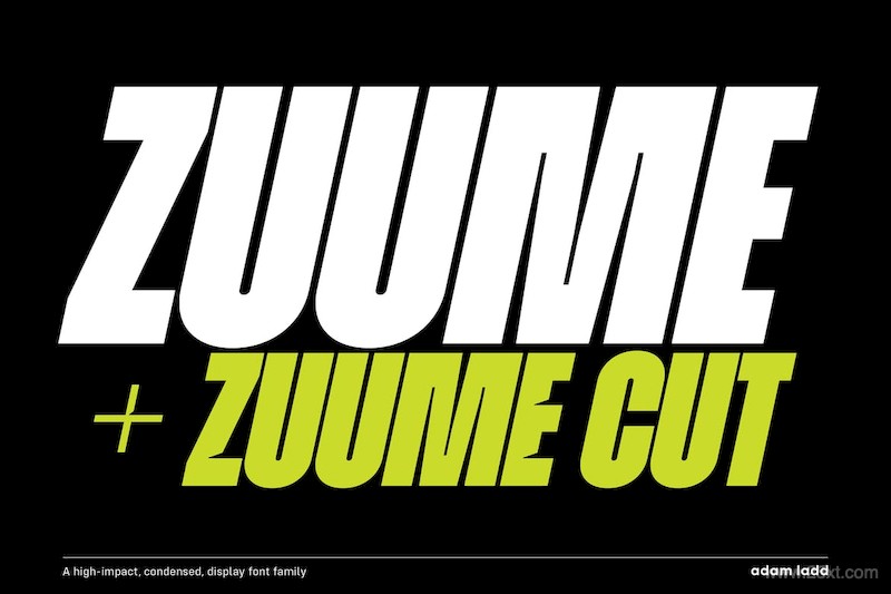 28175 Zuume Font Family2.jpg