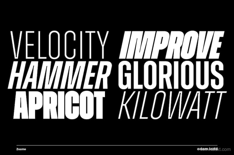 28175 Zuume Font Family7.jpg