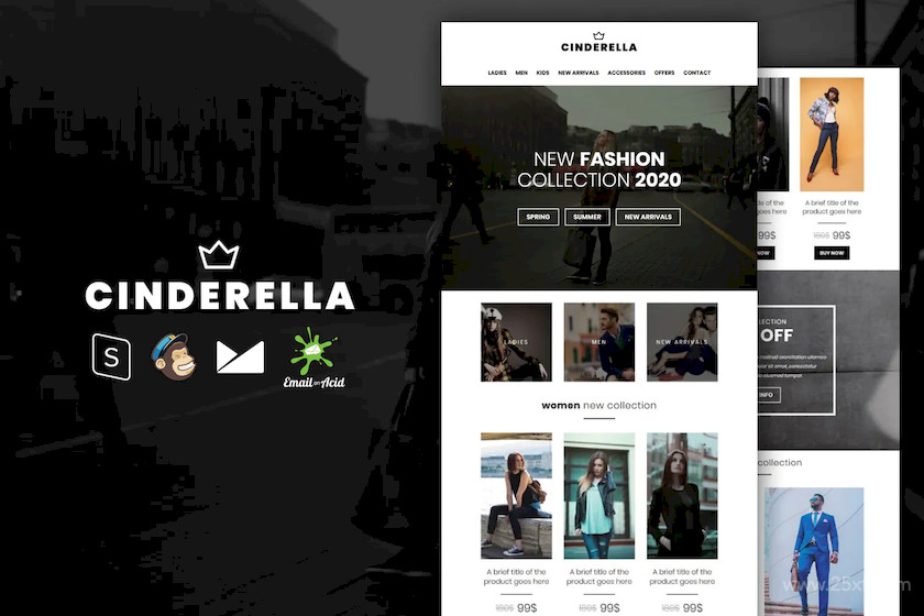 Cinderella - E-commerce Responsive Email Template.jpg