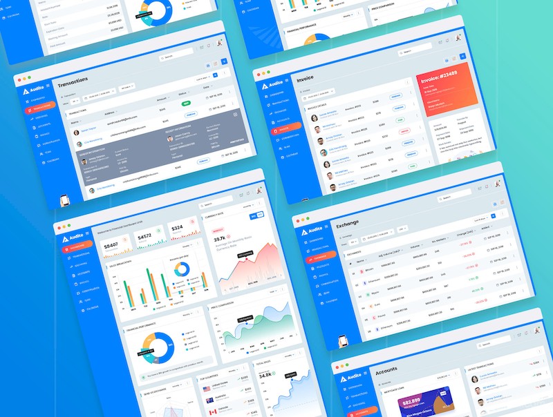 Audite - Financial Dashboard Ui Kit Sketch Template-2.jpg