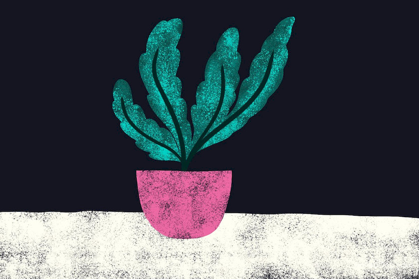Grain Procreate Brushes1.jpg