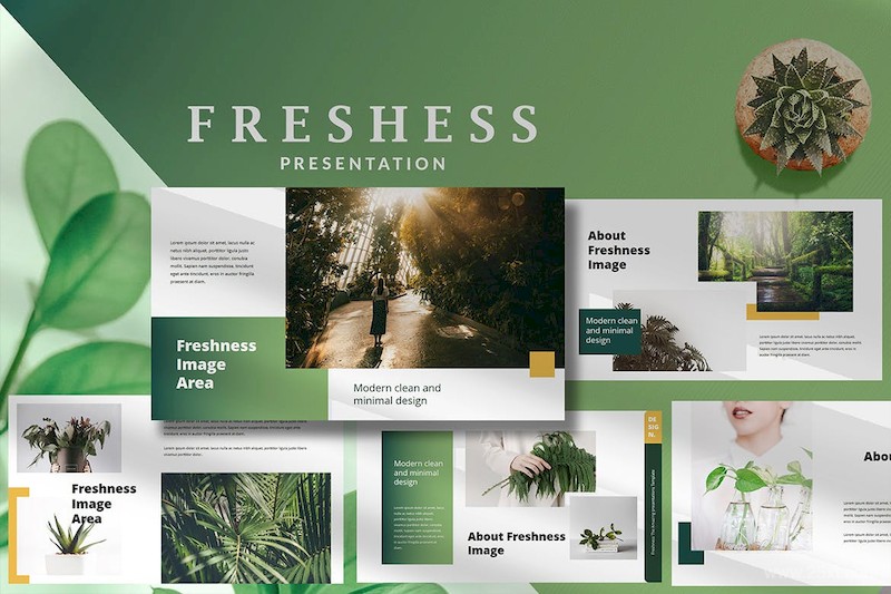 Freshness Modern - Powerpoint Template-7.jpg