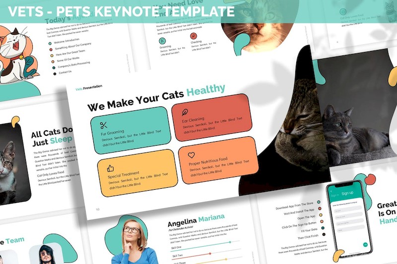 Vets - Pets Keynote Template-3.jpg