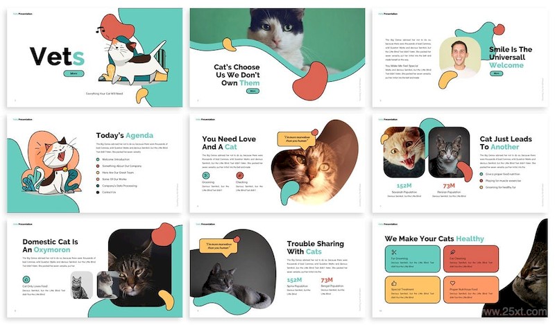 Vets - Pets Keynote Template-4.jpg