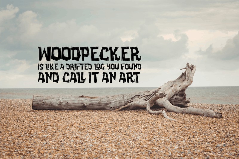 Woodpecker - Unique Jungle Font-3.jpg