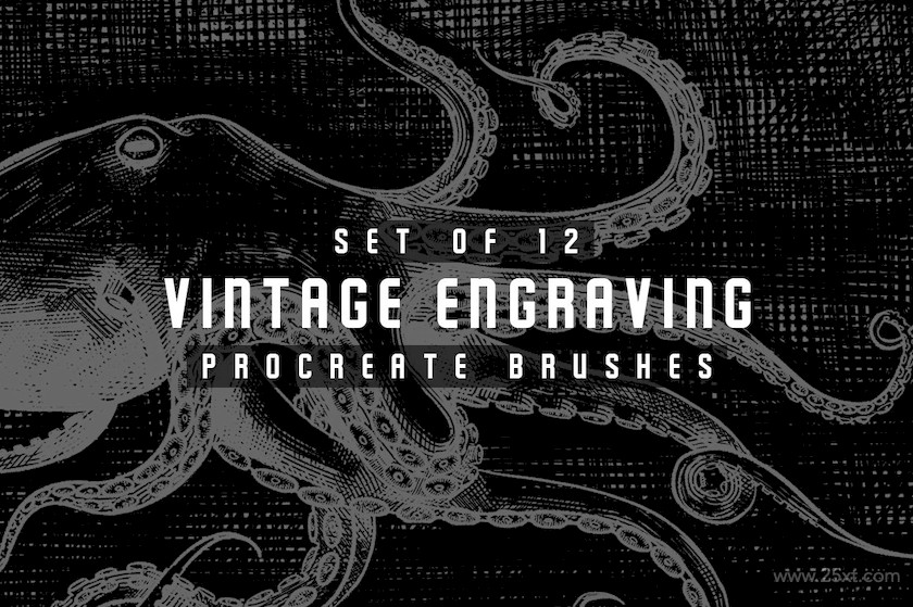 Vintage engraving Procreate brushes 6.jpeg