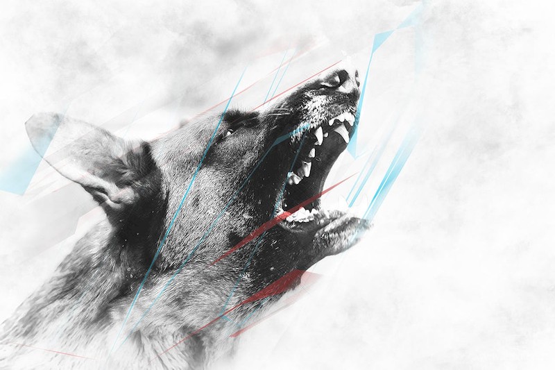 Dynamic Sketch CS3+ Photoshop Action-5.jpg