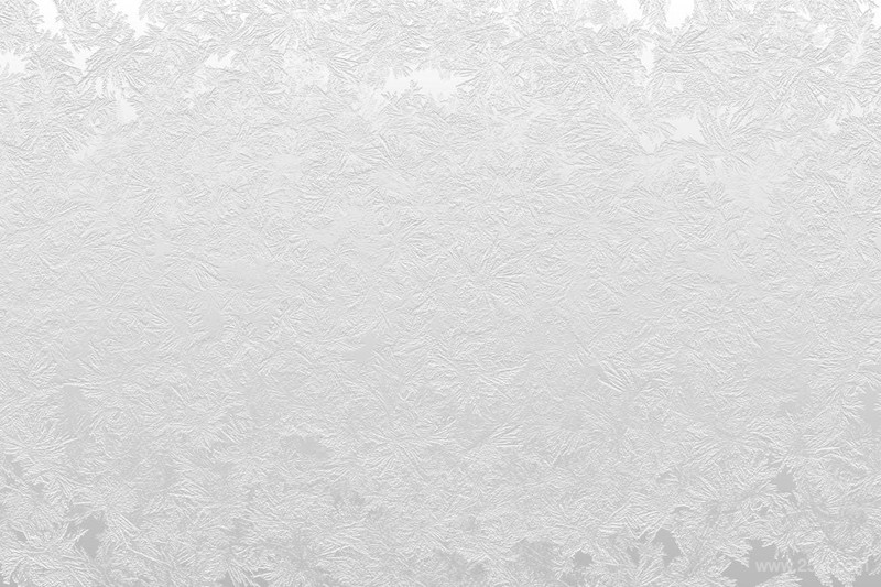 White Frost Winter Backgrounds-11.jpg