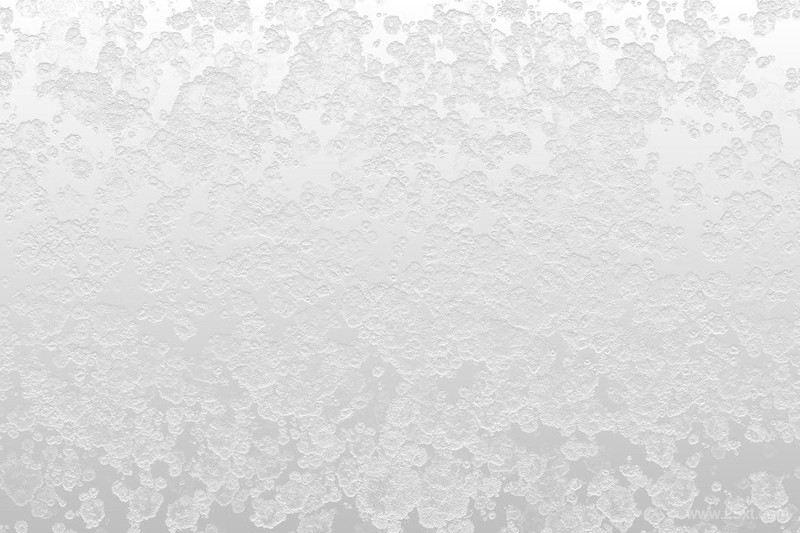 White Frost Winter Backgrounds-1.jpg