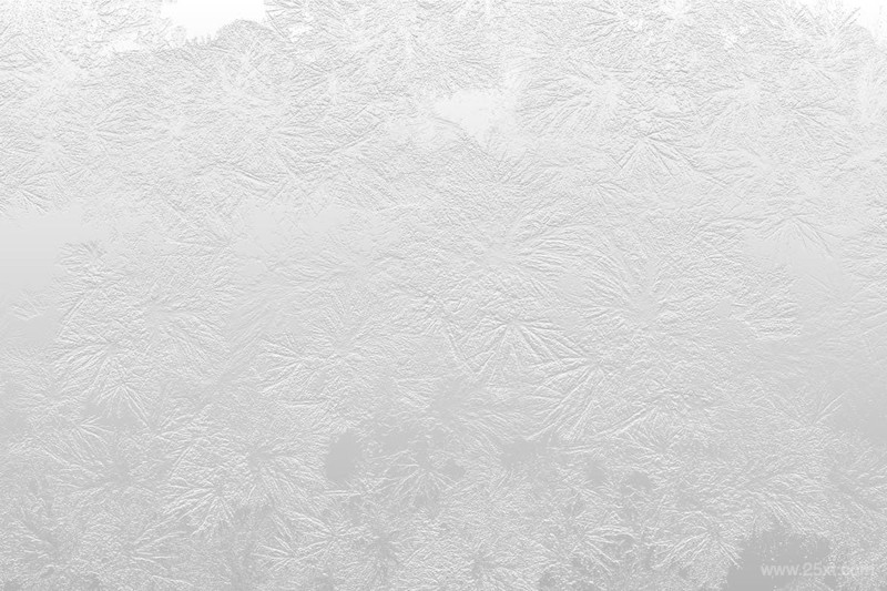 White Frost Winter Backgrounds-10.jpg