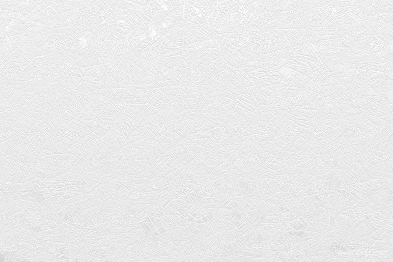 White Frost Winter Backgrounds-3.jpg