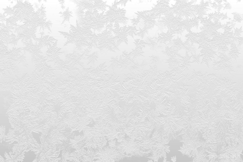 White Frost Winter Backgrounds-8.jpg