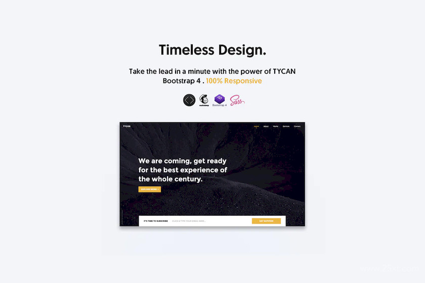 TYCAN - Timeless Coming Soon Template 2.jpg