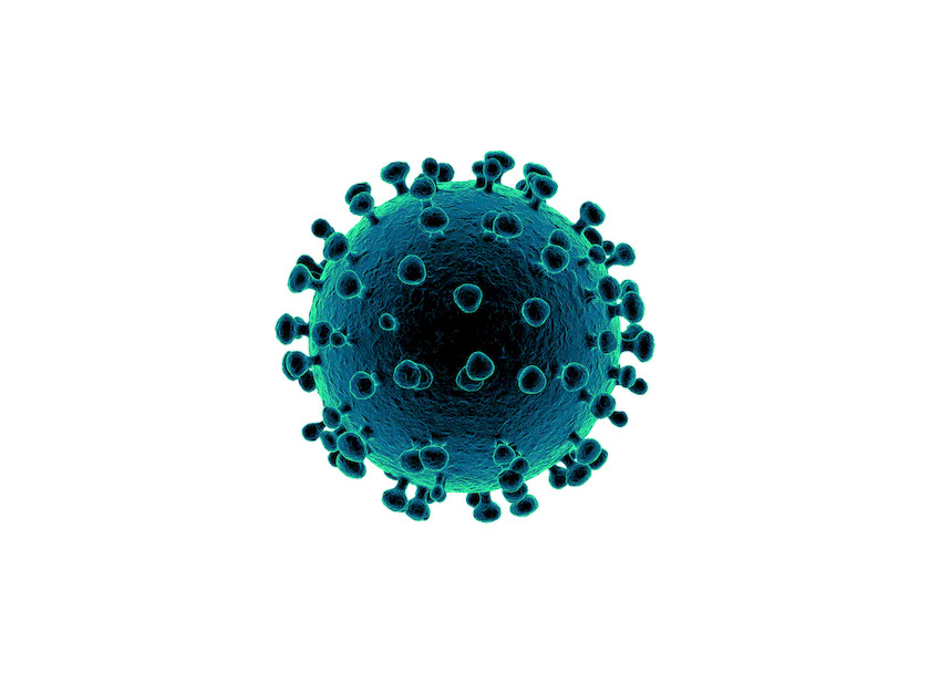 Corona Virus 3.jpg
