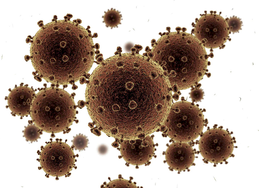 Corona Virus 6.jpg