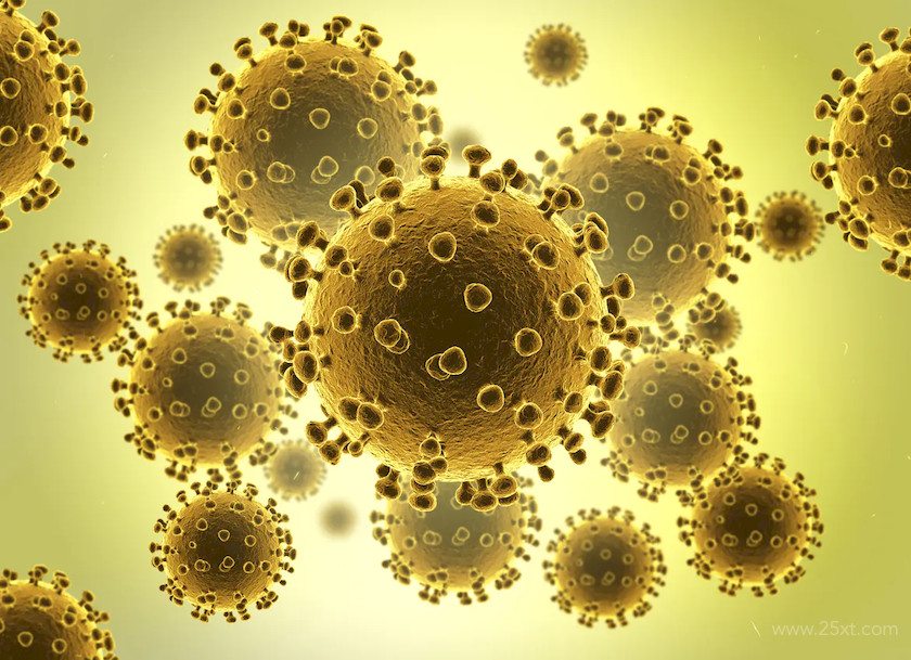 Corona Virus 4.jpg